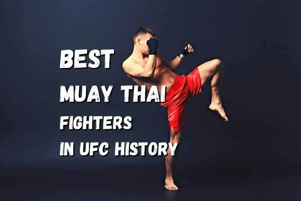 Best Muay Thai Fighters In Ufc History Fighting Advice