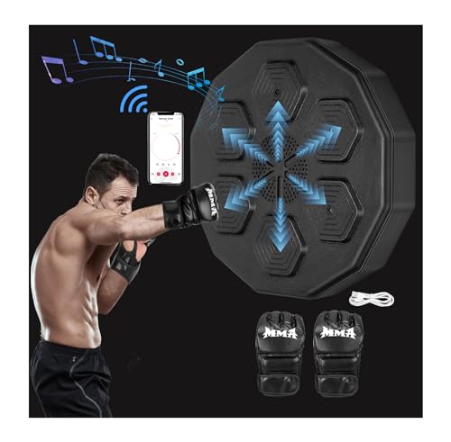 ZWDMAER Boxing Training Machine