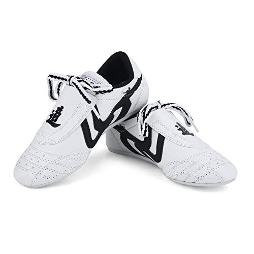 DAYISS Martial Arts Taekwondo Shoes