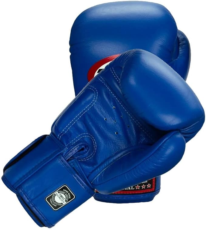 Twins Boxing Muay Thai Gloves