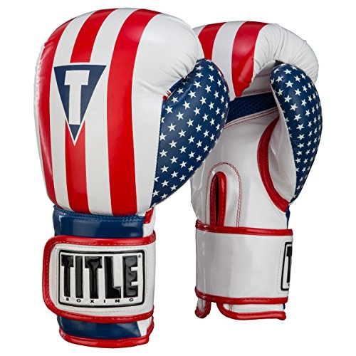 TITLE Boxing Infused Foam Combat USA Training Gloves