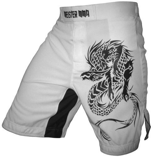 Meister MMA Dragon Hybrid Shorts