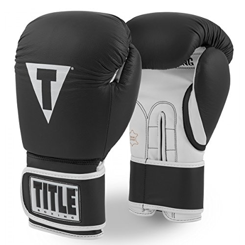 TITLE Boxing Pro Style Gloves 3.0