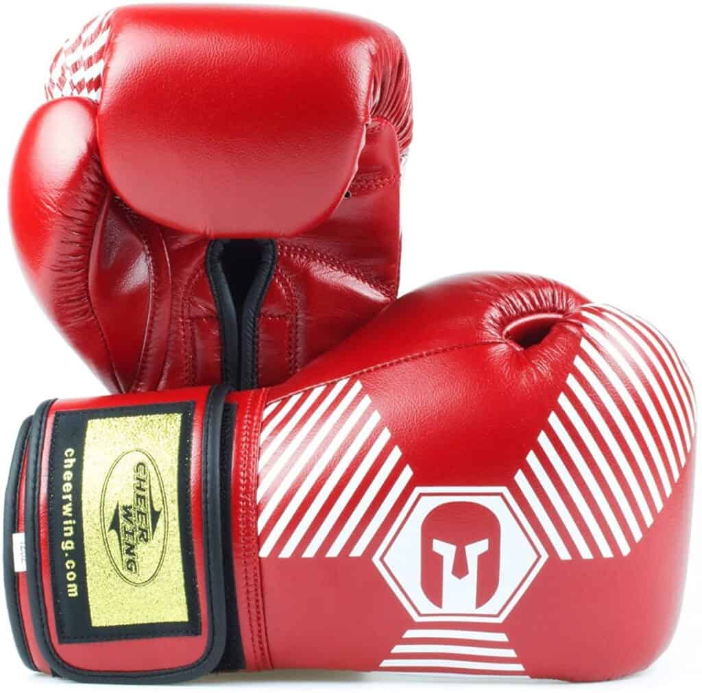 Top 10 Budget Boxing Gloves Between $20 And $50 (Best Quality For The ...