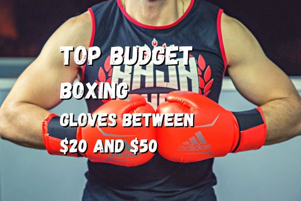 best boxing gloves under $50