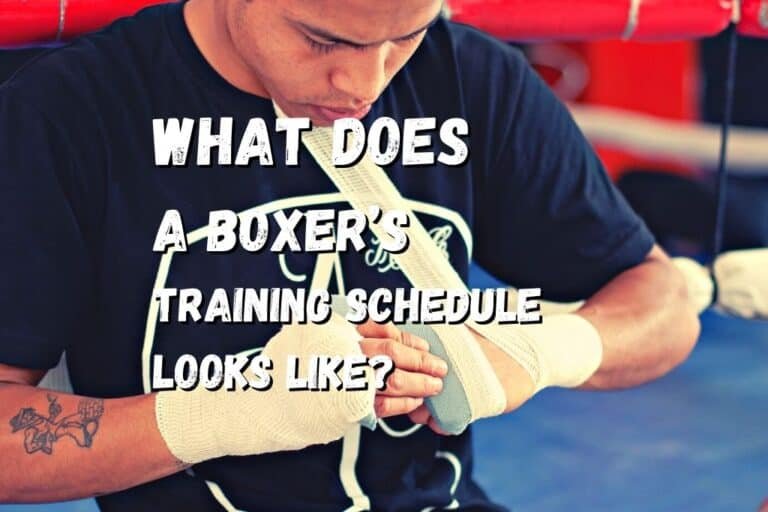 What Does A Boxer’s Training Schedule Looks Like? Improve Your Skills