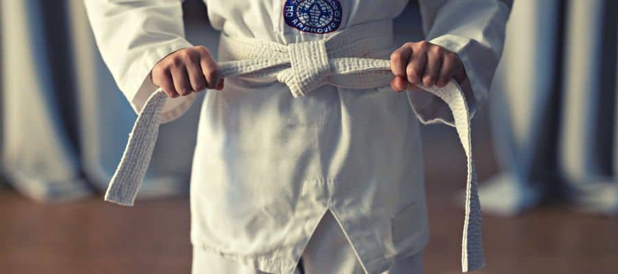 Shorin Ryu Karate vs Kyokushin: What are the diffrences? – Fighting Advice