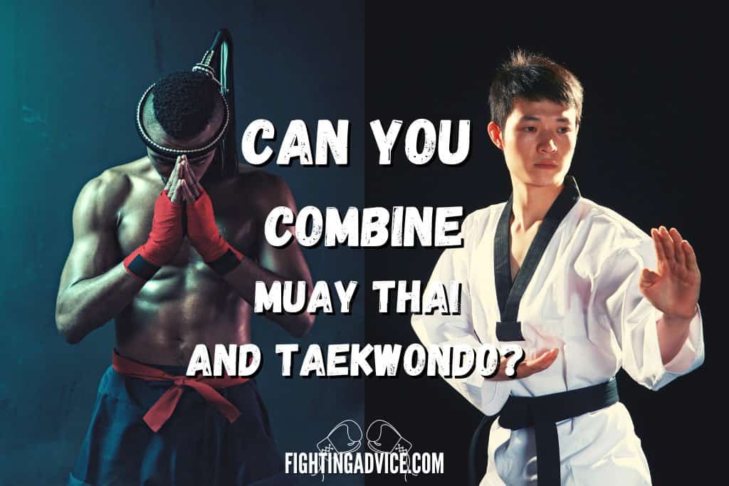 Can You Combine Muay Thai and Taekwondo? Blending Martial Arts Styles